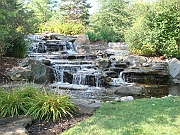 Western Michigan [2009] 275